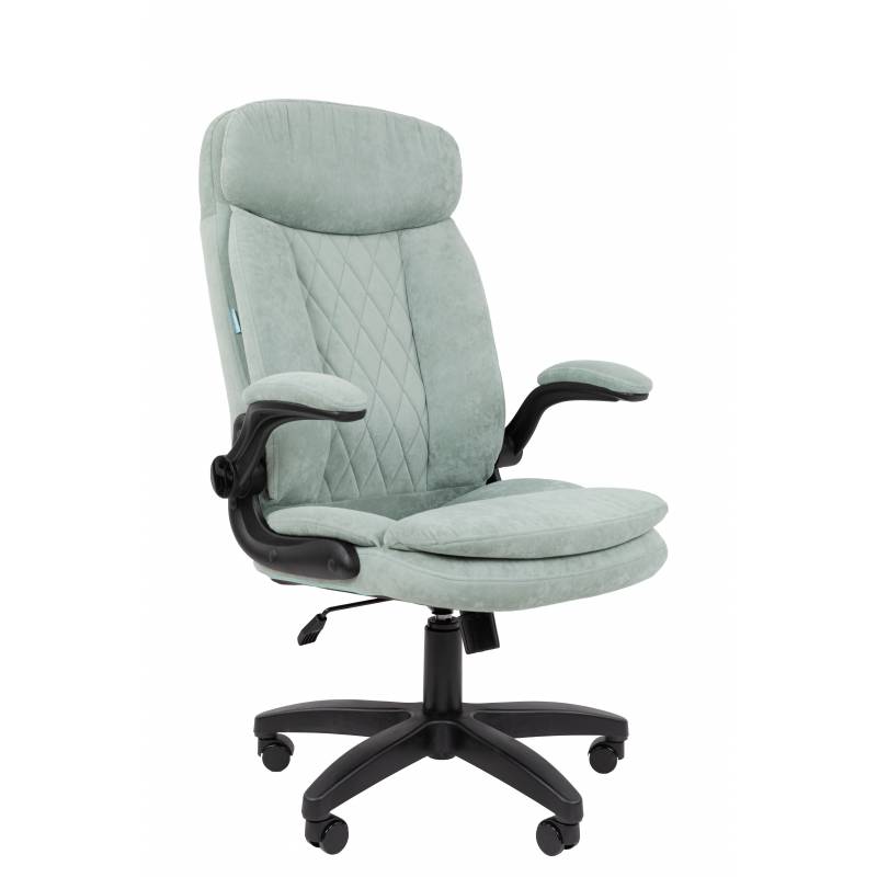 Кресло руководителя Chairman Home 533 Россия ткань S светло-зеленый главное фото